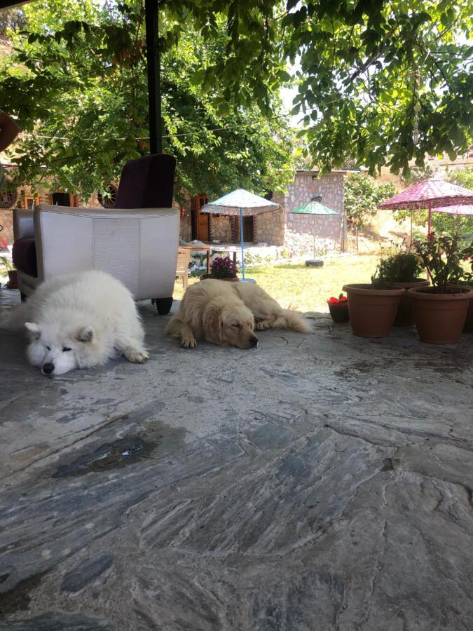 Zirkon Doga Butik Otel Fethiye Eksteriør bilde