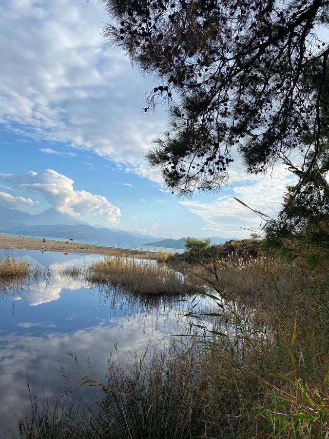 Zirkon Doga Butik Otel Fethiye Eksteriør bilde
