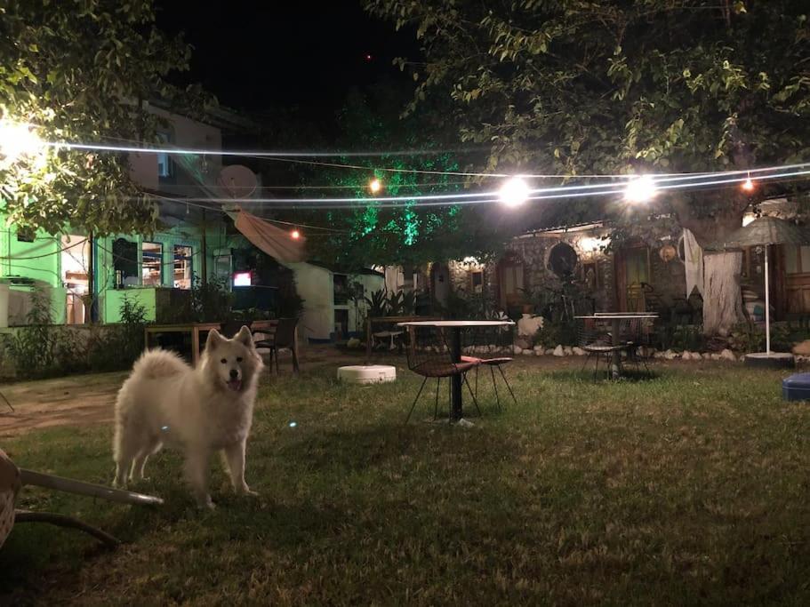 Zirkon Doga Butik Otel Fethiye Eksteriør bilde